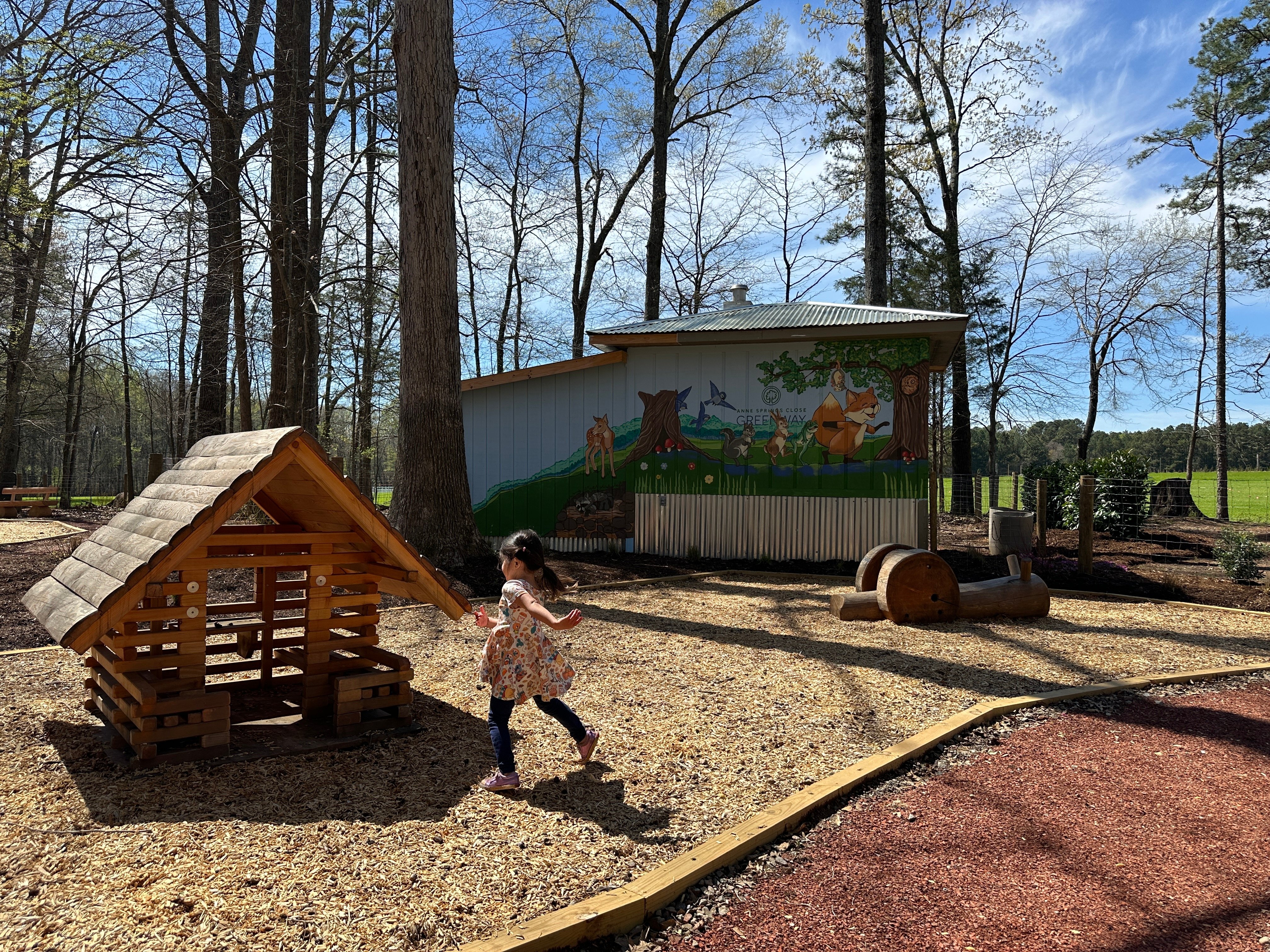 Toddler Section at Schroering Forest Playground at Anne Springs