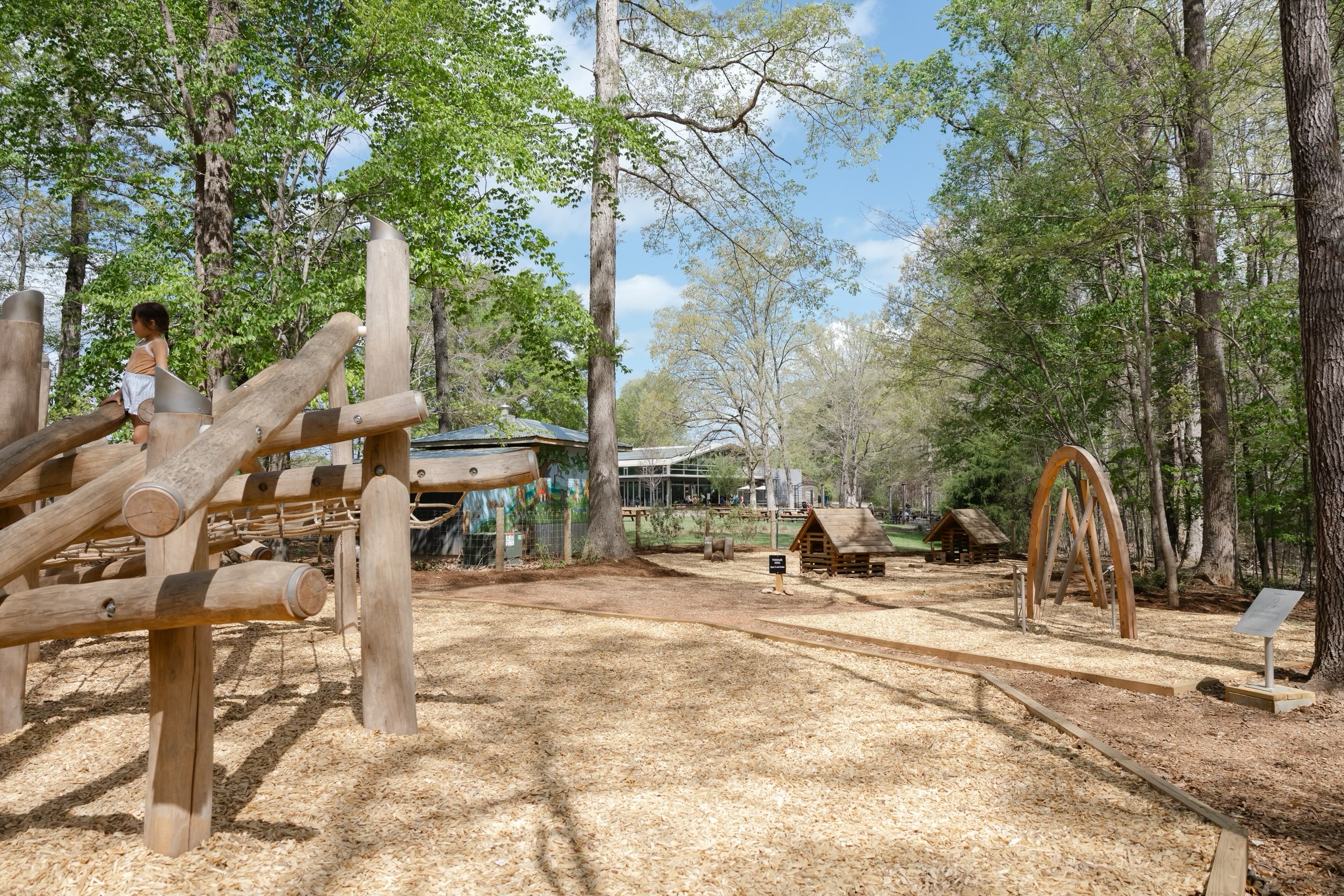 Anne Springs Forest Playground